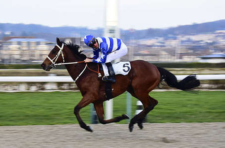 Actualités Hippiques